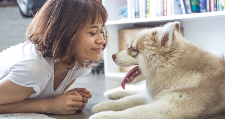 Owning a pet can reduce stress!